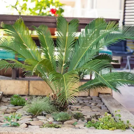 Zeleni Kuk Apartamento *