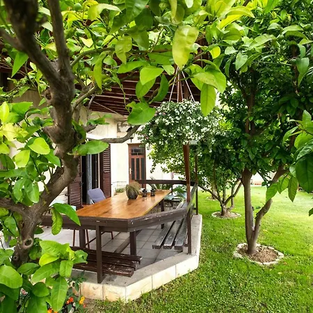 Zeleni Kuk Apartment