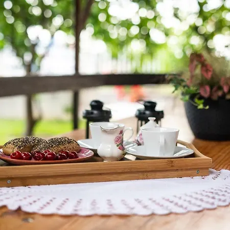 Zeleni Kuk アパート ソリン